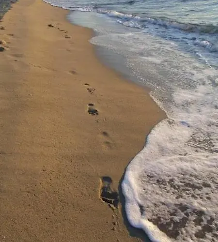 Grand Acces Direct - 4calyp1/4 Large Flat Close By Sea * קאנט אן רוסיון